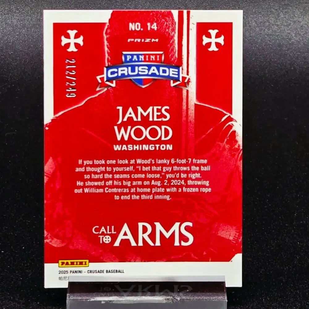 James Wood Fireworks Call to Arms /249 RC Washington Nationals Top Prospect